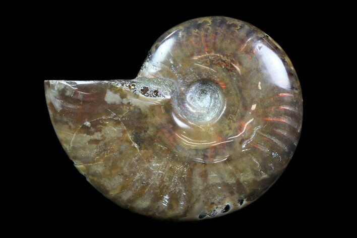 Iridescent, Red Flash Ammonite - Madagascar #82414